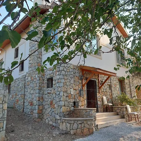 Highlander فندق *