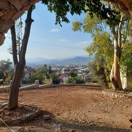 Highlander * فتحية